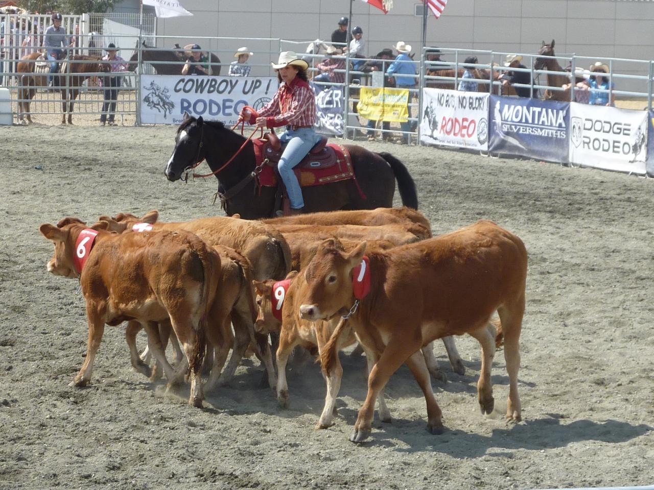 spectacle avec les chevaux et les indiens